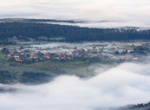Mirno_jutro_nad_jezerom_Branko Česnik
